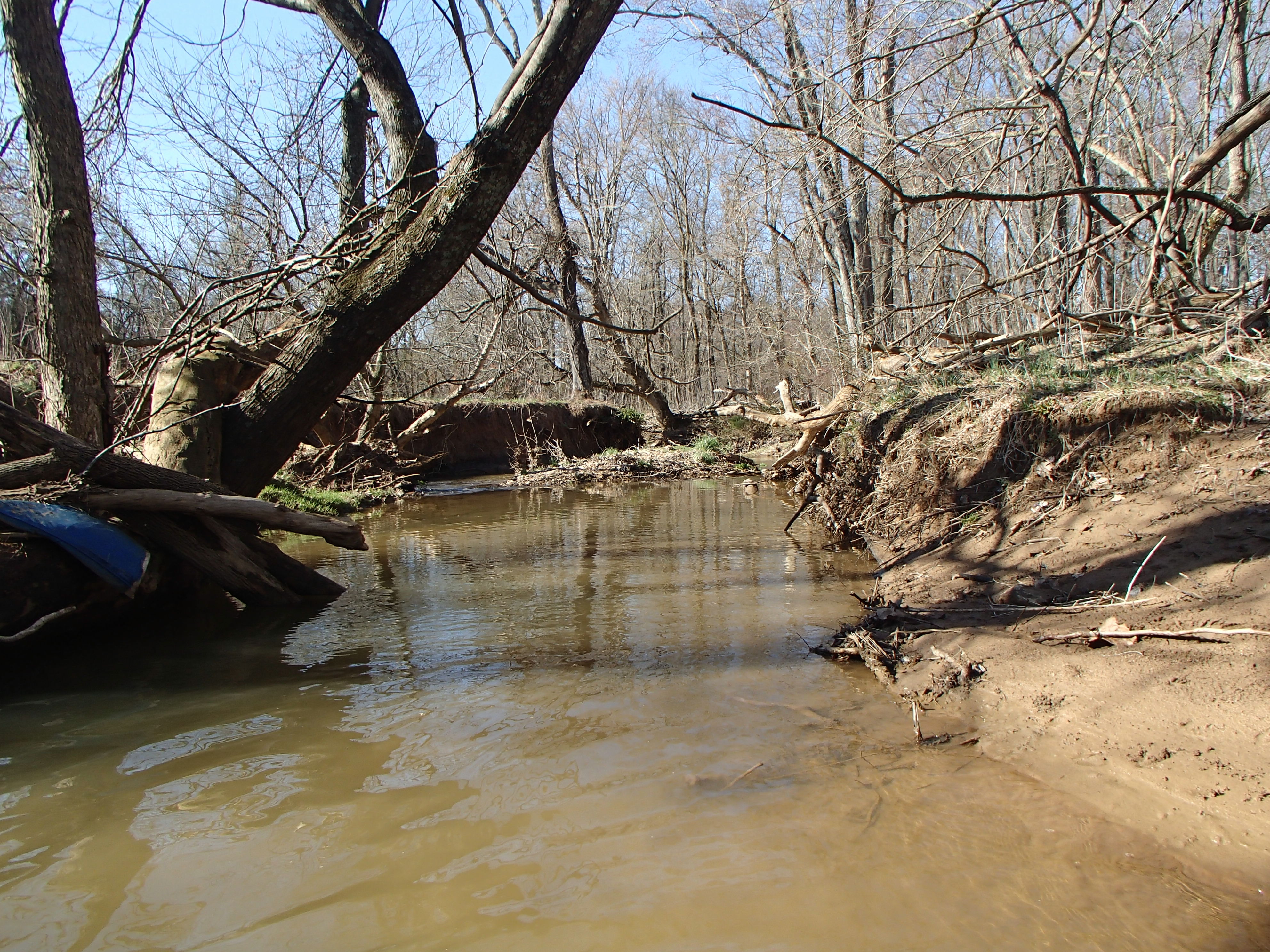 Field photo showing stream conditions at site PRMO-202-X-2016_Midpoint facing downstream